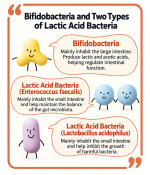 BIOFERMIN S PROBIOTIC FINE GRANULES 45G (FROM 3 MONTHS)